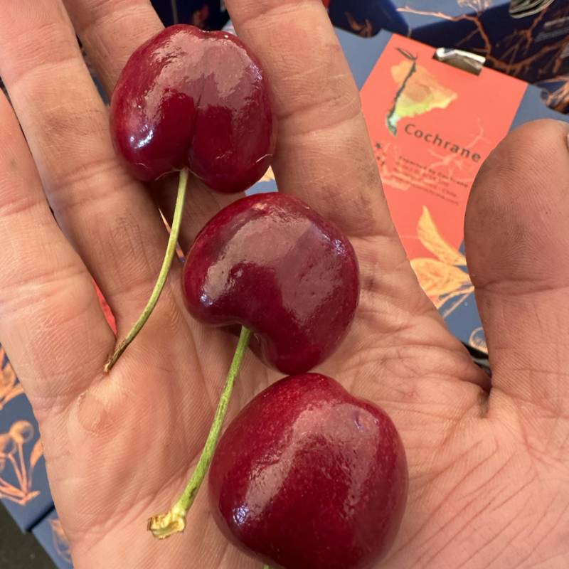 车厘子🍒超低价