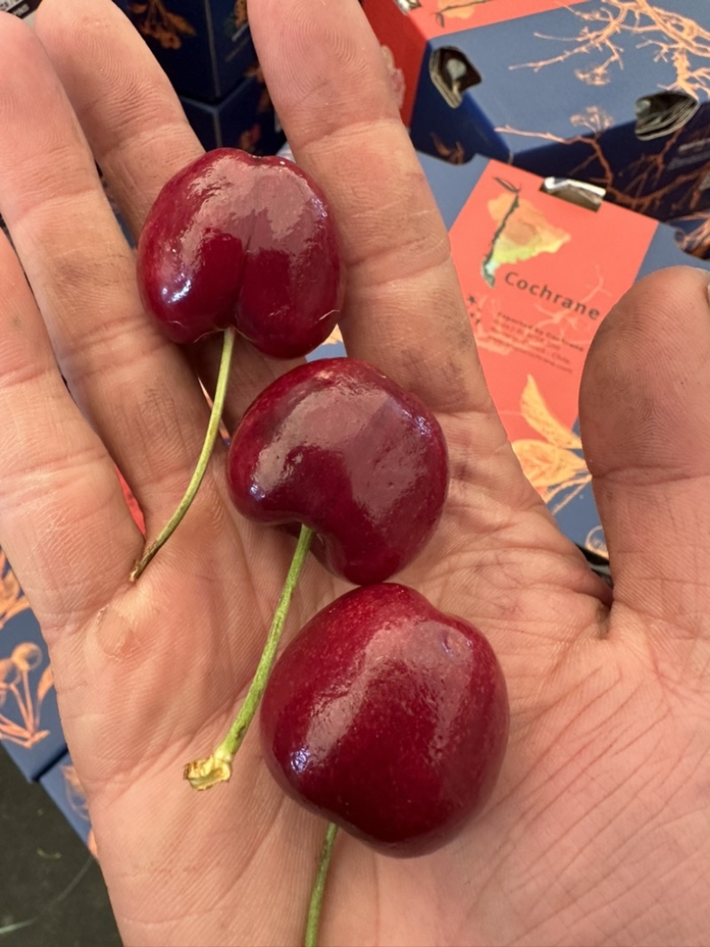 车厘子🍒超低价