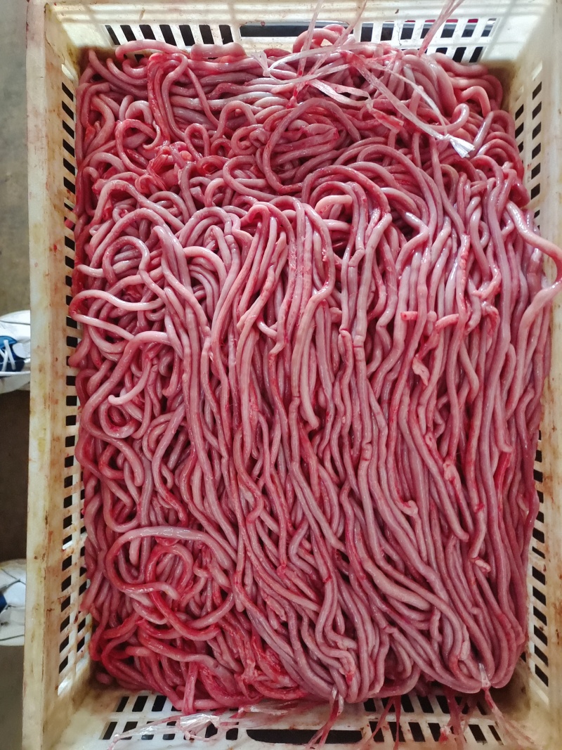 鹅肠，纯鹅肠，屠宰场发货，新鲜鹅肠，需要的老板找我联系