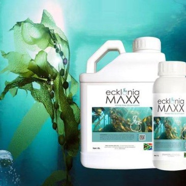南非进口海藻肥有机水溶肥料瓜果蔬菜肥料厂家直发包邮