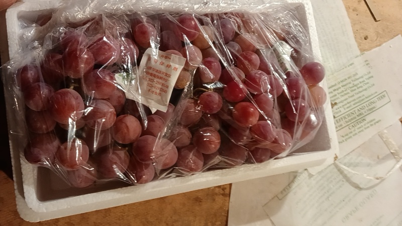 河北精品龙眼葡萄大量现货，颗粒大，口感甜欢迎各位老板咨询