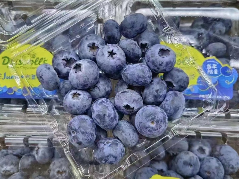 新鲜蓝莓大量现货产地直发品质保证一手货源品种多样