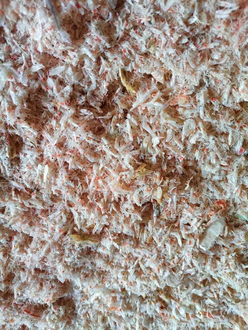 赤尾青虾，味好干度好
