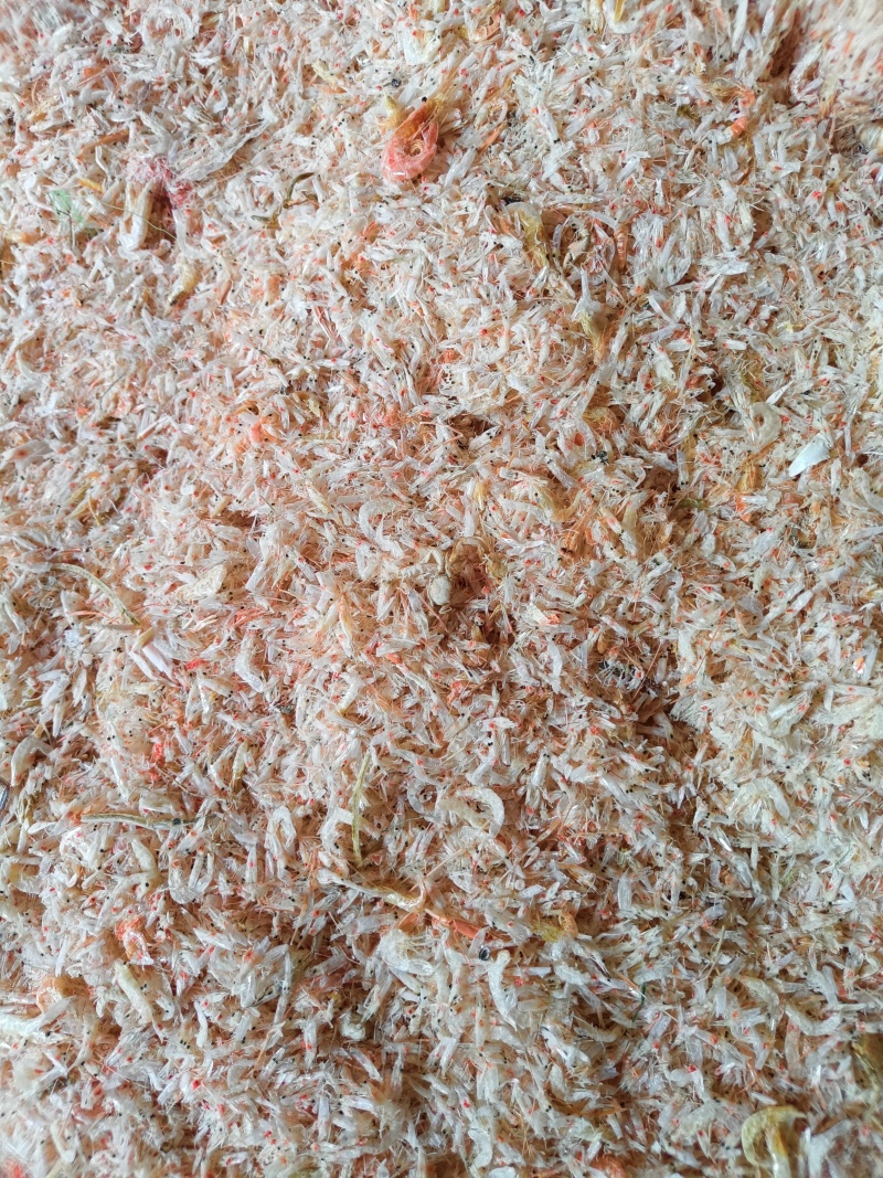 赤尾青虾，味好干度好