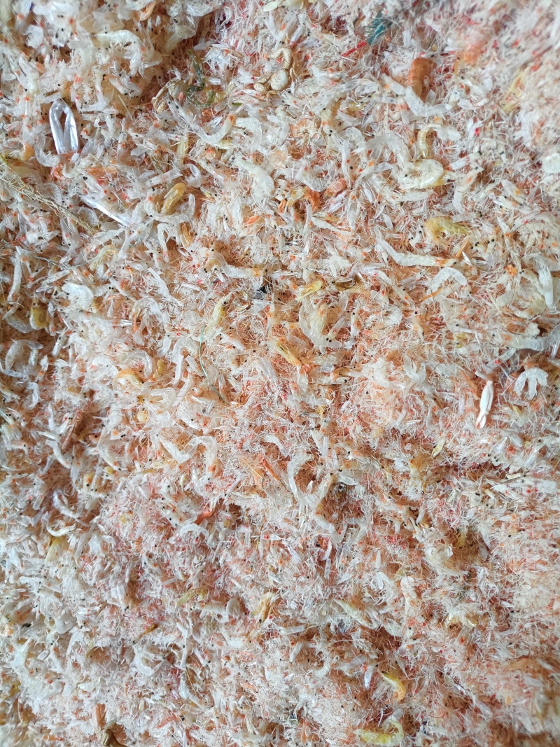赤尾青虾，味好干度好