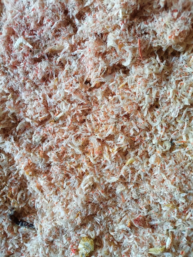 赤尾青虾，味好干度好