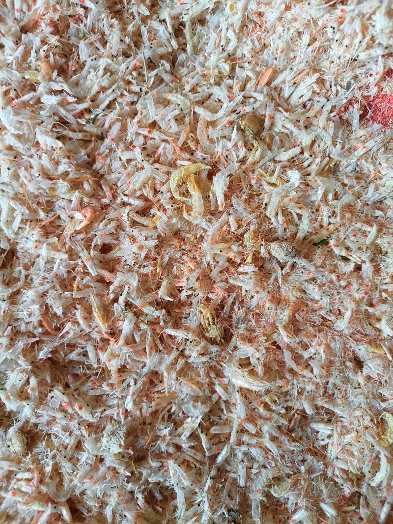 赤尾青虾，味好干度好
