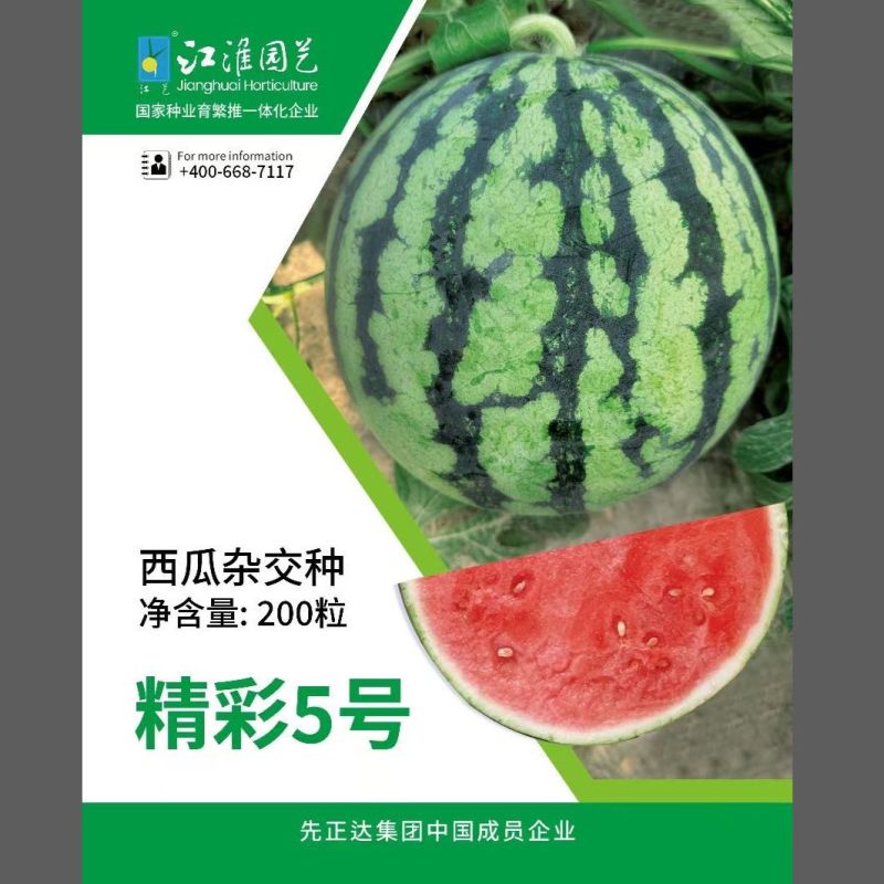 原厂正品江淮园艺精彩5号西瓜种子麒麟美都无籽西瓜种籽高产