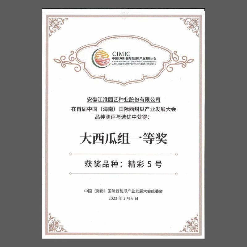原厂正品江淮园艺精彩5号西瓜种子麒麟美都无籽西瓜种籽高产