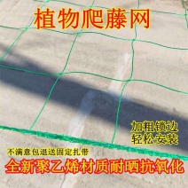 植物爬藤网加粗锁边攀爬网百香果丝瓜葡萄黄瓜豆角黄瓜搭架网