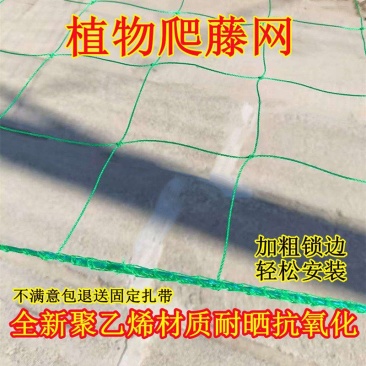 植物爬藤网加粗锁边攀爬网百香果丝瓜葡萄黄瓜豆角黄瓜搭架网