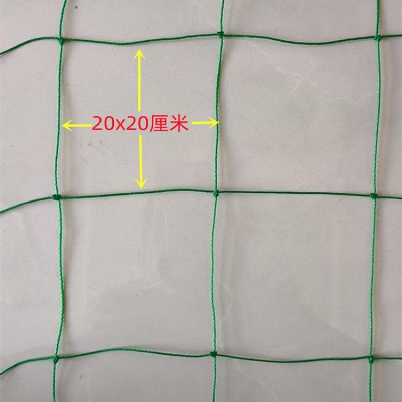 植物爬藤网加粗锁边攀爬网百香果丝瓜葡萄黄瓜豆角黄瓜搭架网