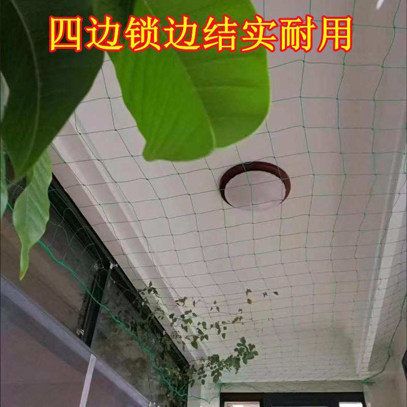 植物爬藤网加粗锁边攀爬网百香果丝瓜葡萄黄瓜豆角黄瓜搭架网