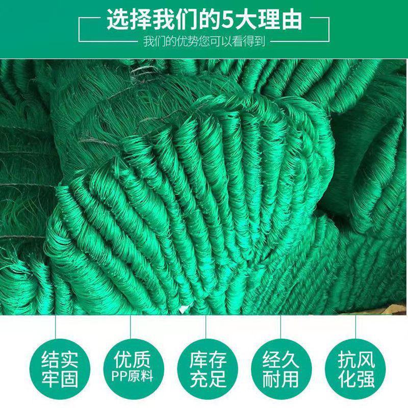 植物爬藤网加粗锁边攀爬网百香果丝瓜葡萄黄瓜豆角黄瓜搭架网