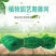植物爬藤网加粗锁边攀爬网百香果丝瓜葡萄黄瓜豆角黄瓜搭架网