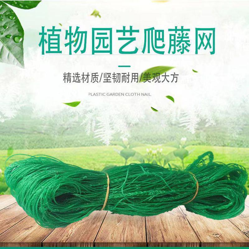 植物爬藤网加粗锁边攀爬网百香果丝瓜葡萄黄瓜豆角黄瓜搭架网