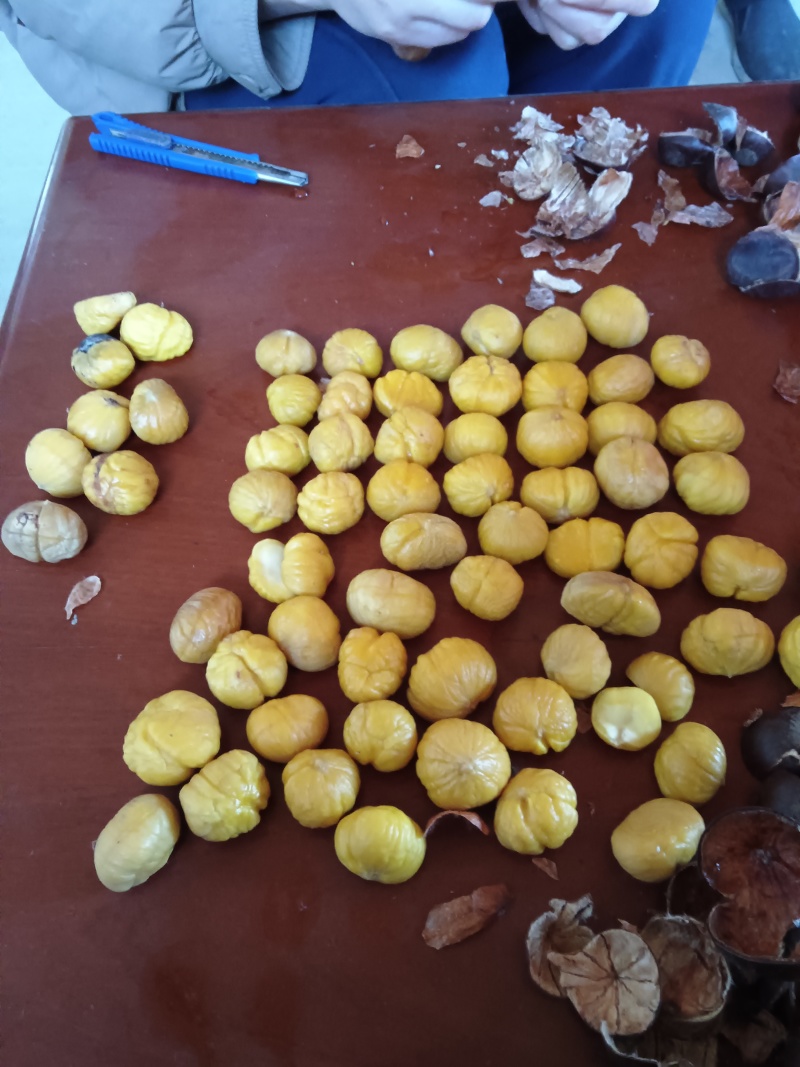 大量出售山东特选油栗内腐低