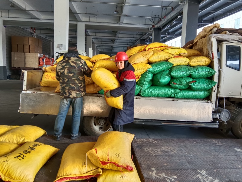 大量出售山东特选油栗内腐低