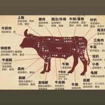 新鲜草原牛肉