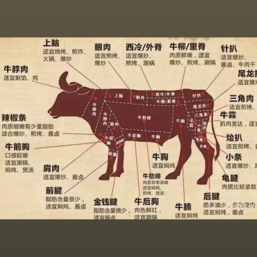 新鲜草原牛肉