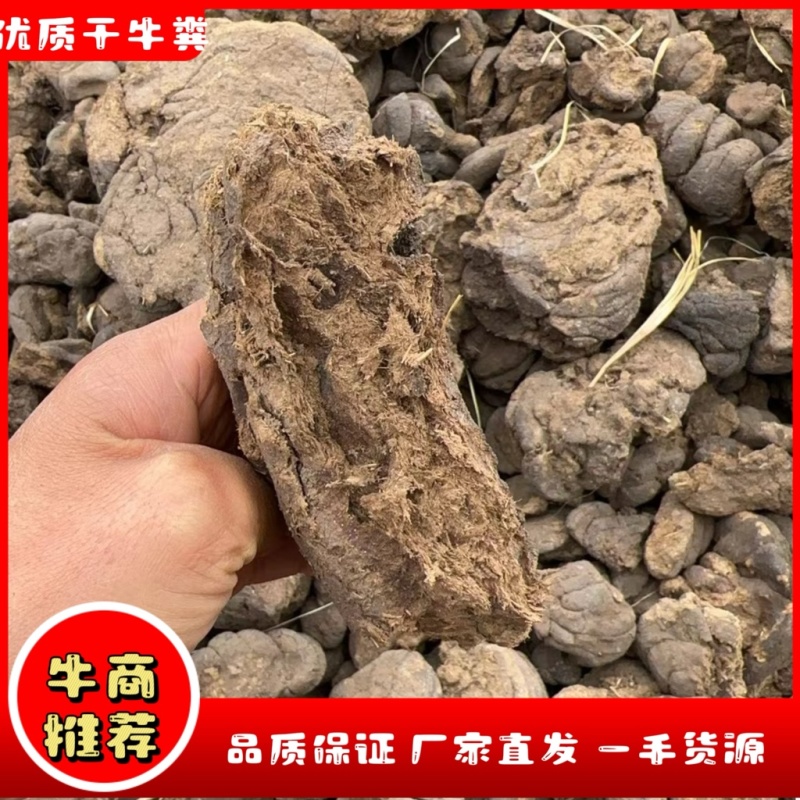 四川风干优质牛粪，有机干牛粪，纯干无水分，对接种植基地农户