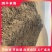 四川厂家纯干羊粪，有机发酵干羊粪，颗粒状，养分充足有机含量高