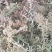 优质水苔，天然无添加，适合种植和园艺，保湿透气助力植物