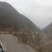青冈皮