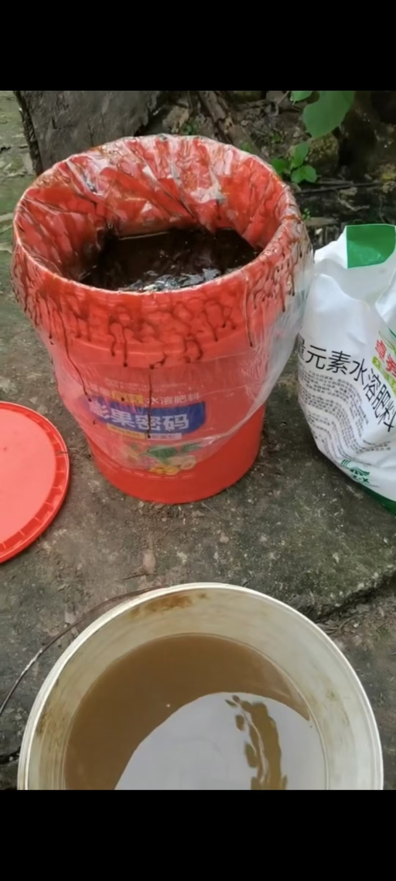全能微生物肥料生根膨果抗病增产保花保果桶肥