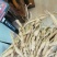 新鲜野生牛大力，大量有货，欢迎来洽谈，保质保量，全国发货