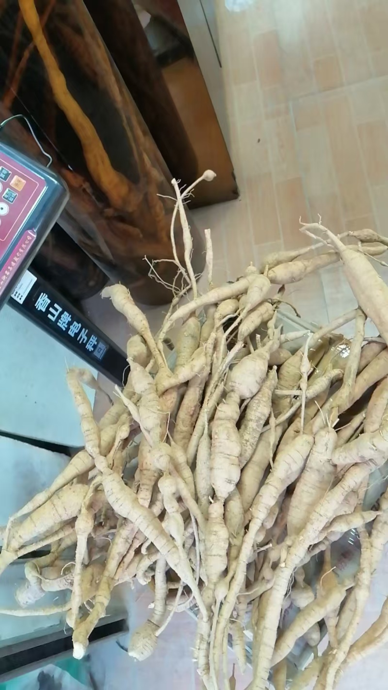 新鲜野生牛大力，大量有货，欢迎来洽谈，保质保量，全国发货