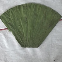 【荷叶】水果荷叶，可做饭店用支持一件代发包邮