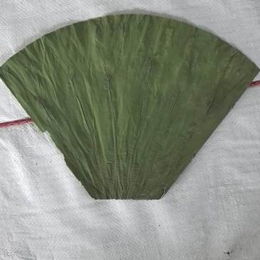 【荷叶】水果荷叶，可做饭店用支持一件代发包邮