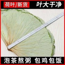 厂家直供荷叶，食品级，可作糯米鸡，荷叶新凤鸡