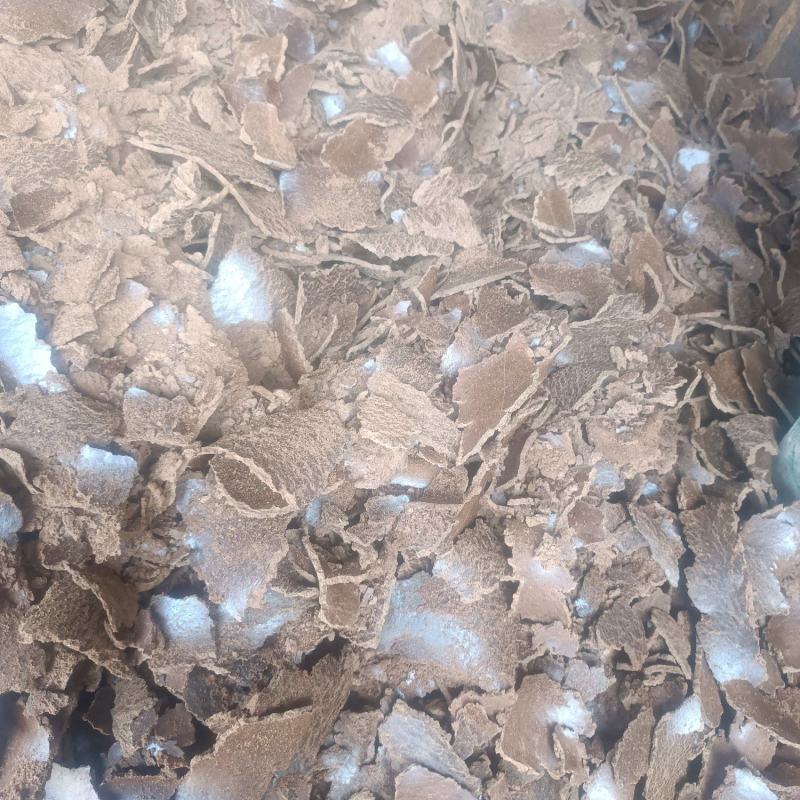 菜籽枯，肥料食料