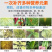 十三元素叶面肥纠正缺素一次补齐