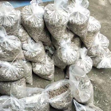 精品鸽子粪常年供应一手货源诚信经营