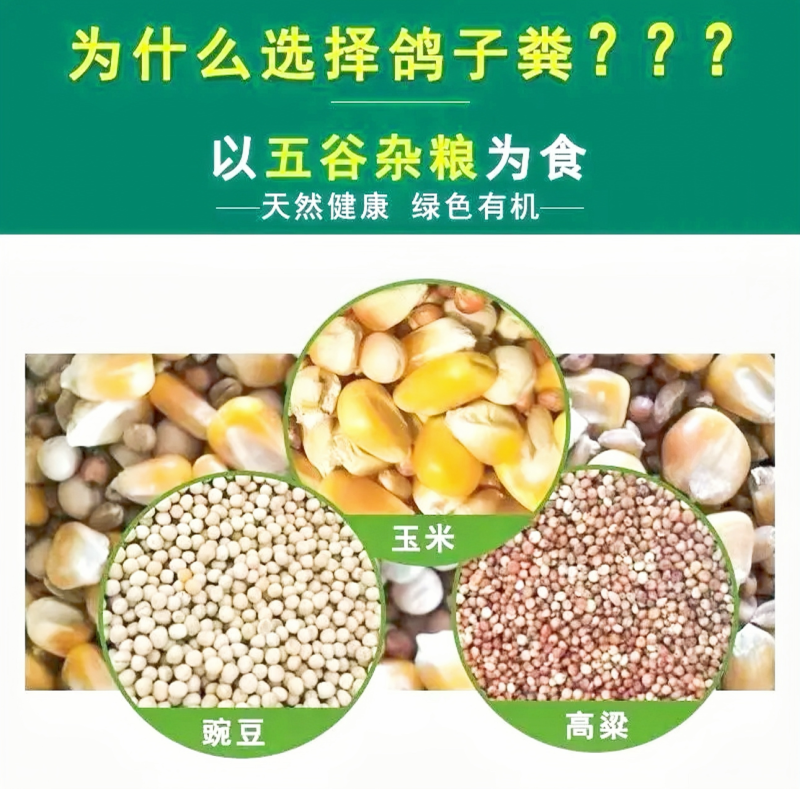 精品鸽子粪常年供应一手货源诚信经营