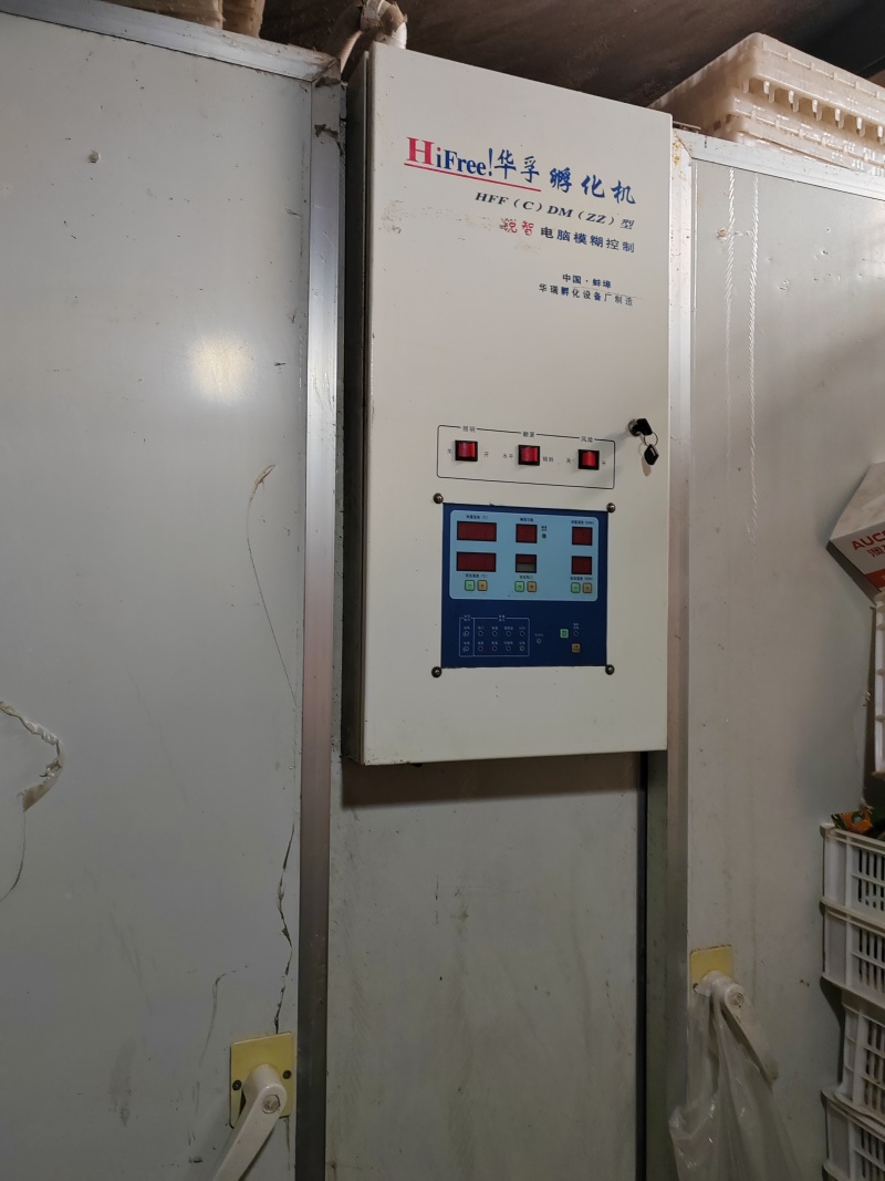 转让二手孵化机