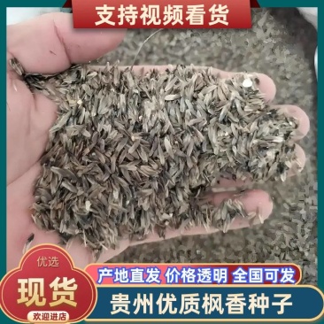 贵州甄选枫香品质保障诚信经营本人从事二十余年诚信