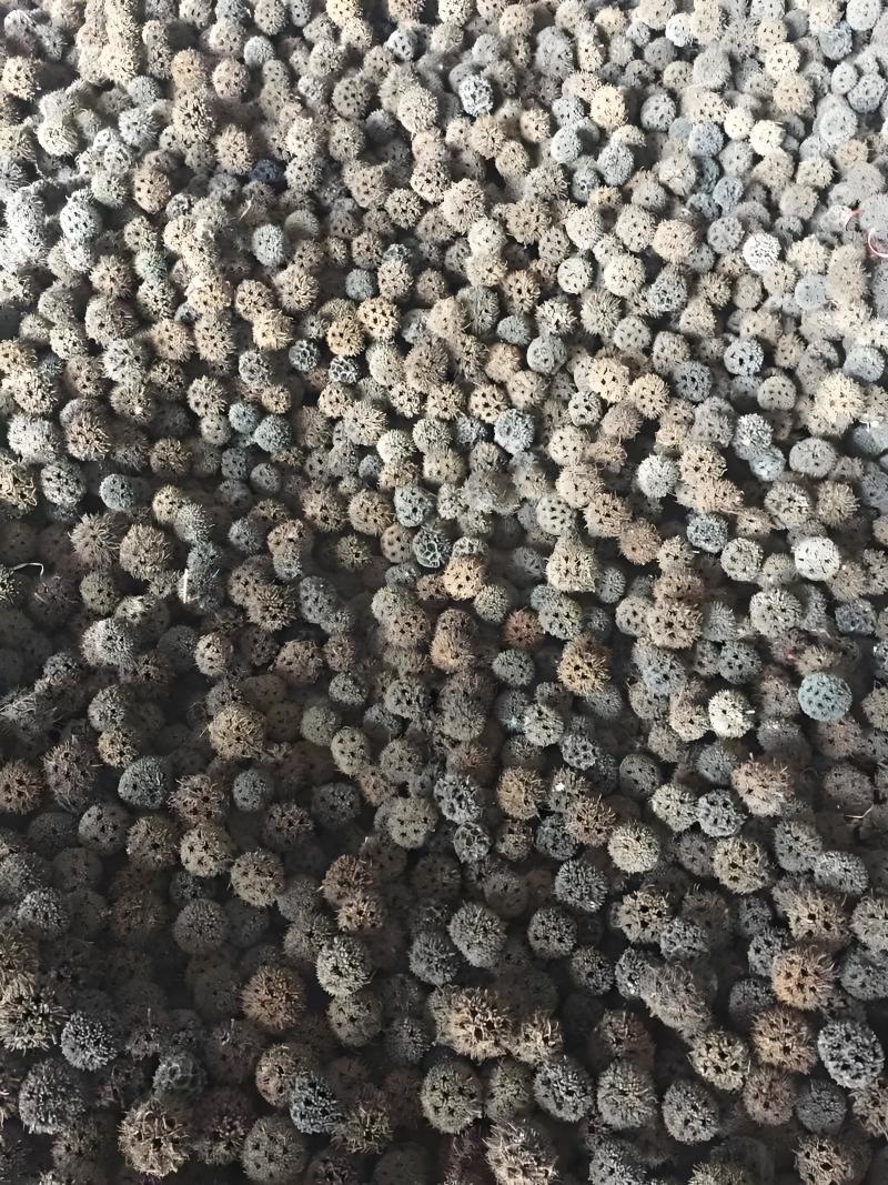 精选贵州路路通诚信至上规格多多您需要请联系我有优惠