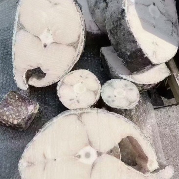 油甘鱼