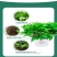 绿萝盆栽室内植物花卉绿植水培长藤垂吊大叶绿箩新房家用吸除