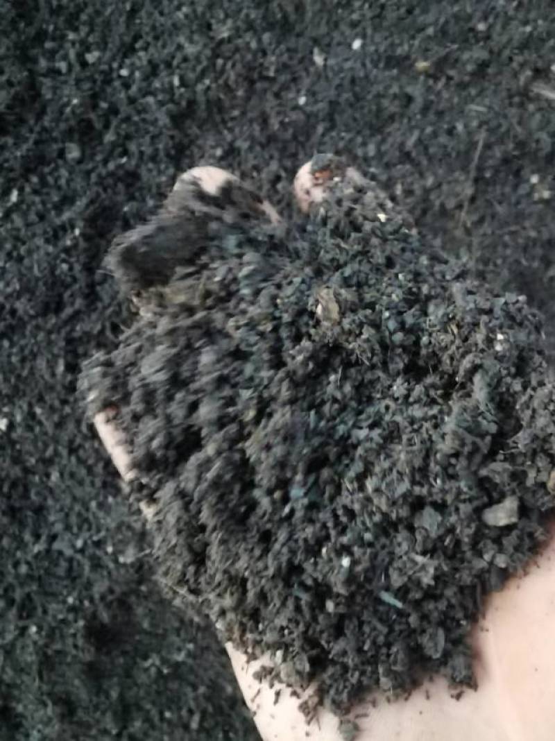 发酵纯羊粪有机肥。自家羊场，货真价实。欢迎老板来电咨询