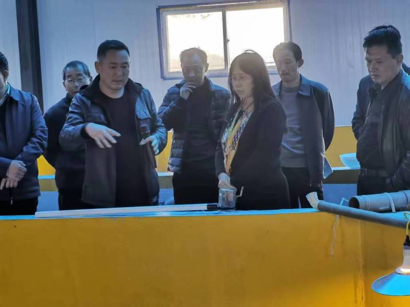 加州鲈鱼苗皖鲈一号价格量大从优提供技术指导