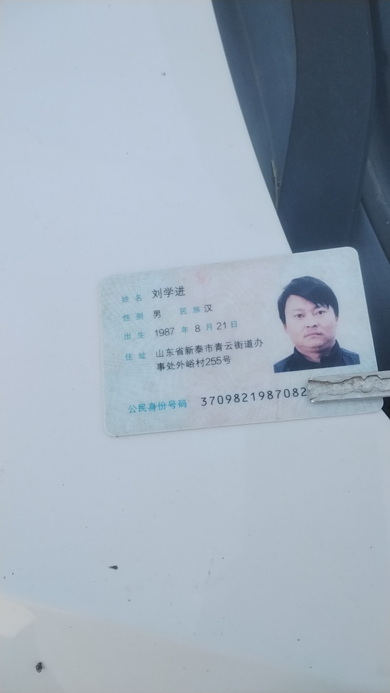 【实力推荐】珍珠油杏树苗量大质优价格优惠免费指导技术