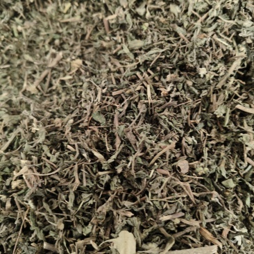 蒲公英新货野生蒲公英全颗片无硫***干净无杂质