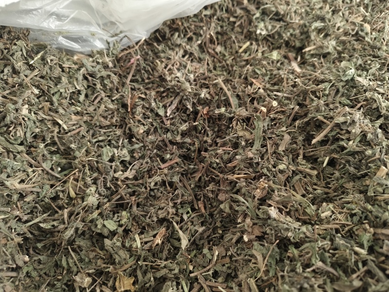 蒲公英新货野生蒲公英全颗片无硫***干净无杂质