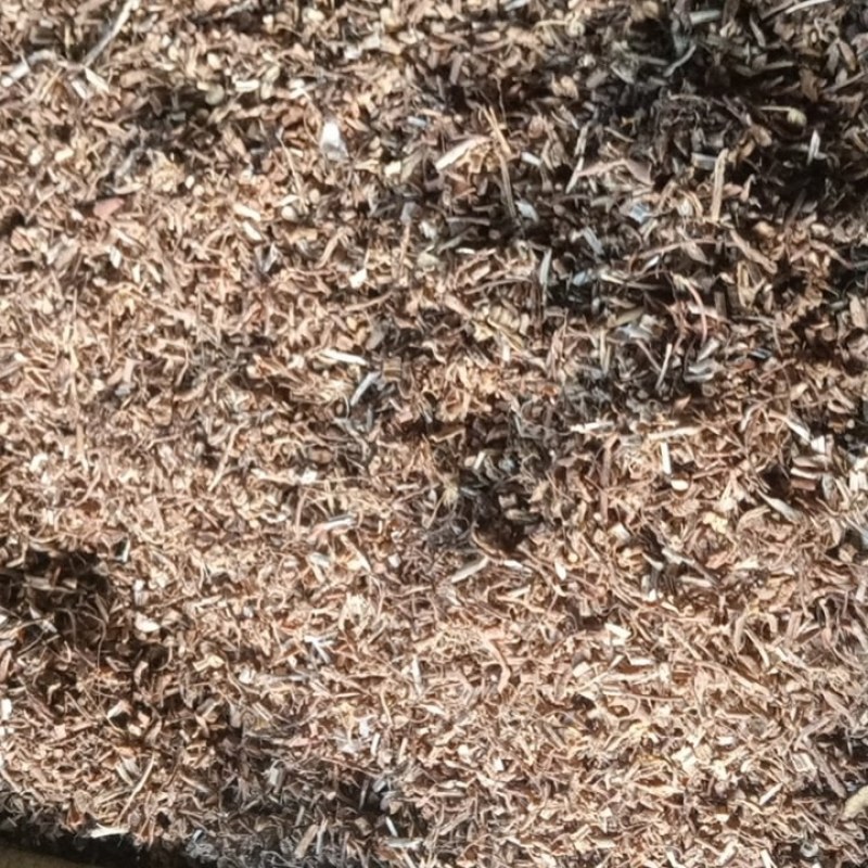 纯红皮甘草沫子