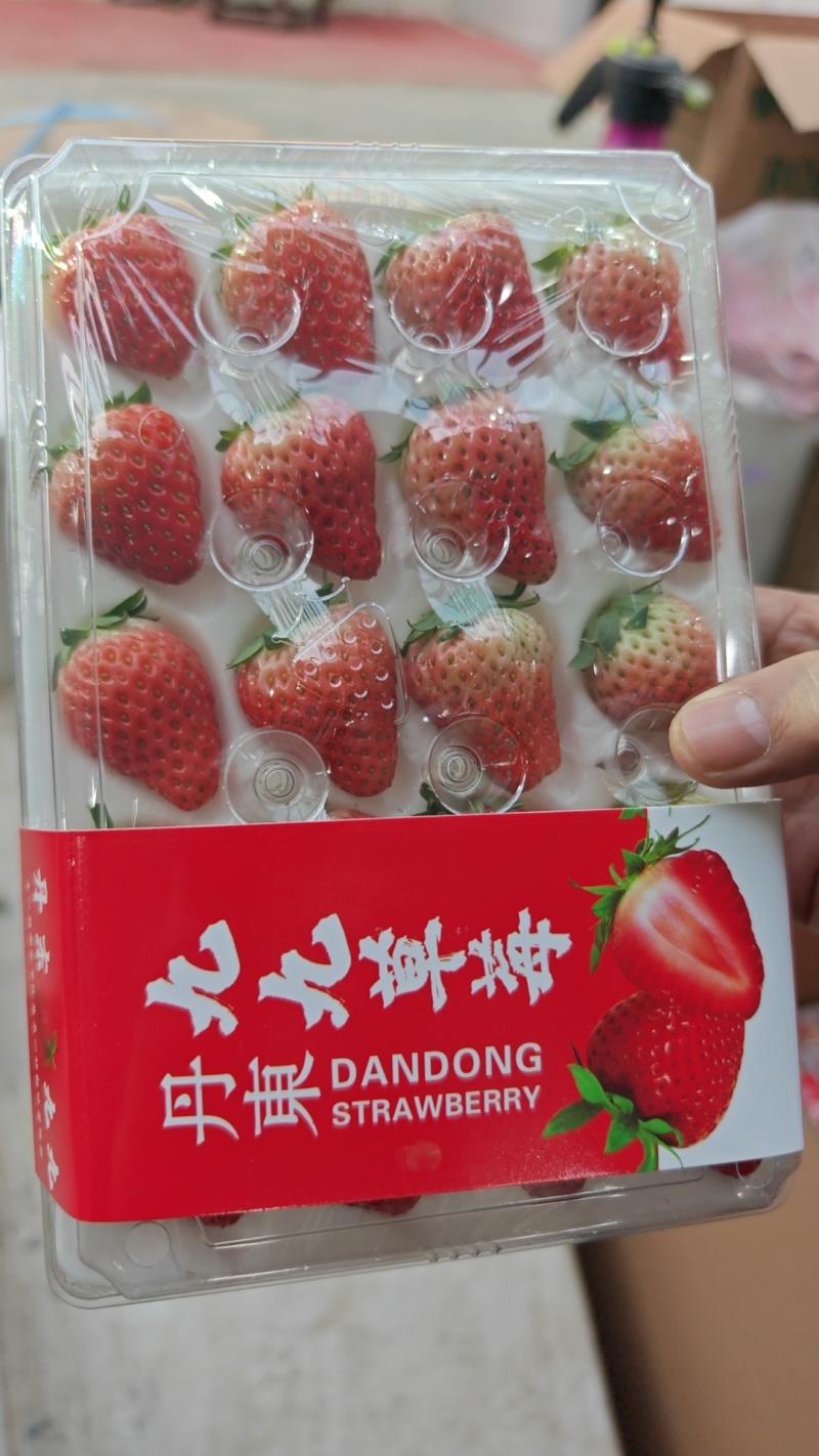 胶盒上市烘焙店奶茶店，社区团购，大量供应